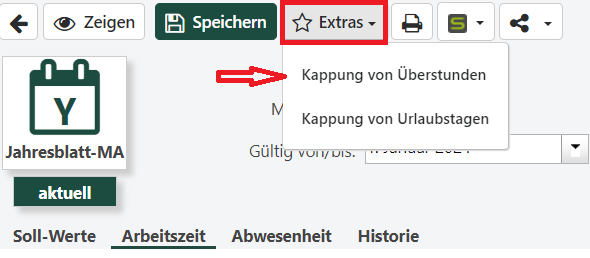 synapcus-ueberstundenkappung-vorjahr-extras.png